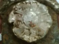 img00010.webp