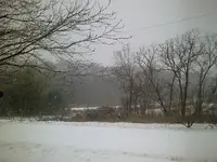todays view.webp