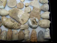 relics 058.webp