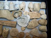 relics 059.webp