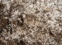 Dime in hole.webp