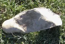 2009_12_29_009_whatsit1.webp
