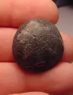 my fossils 476.webp