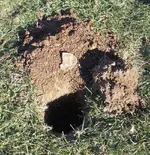 2009_12_29_005_hole.webp