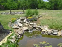 Koi Pond.webp