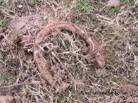 07-01-10 027.webp