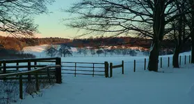 snow s 011.webp