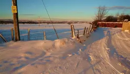 snow s 015.webp
