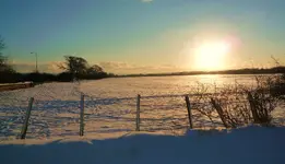 snow s 017.webp