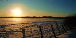 snow s 018.webp