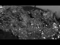 Grabbed Frame 6.webp