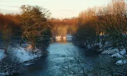 snow s 013.webp