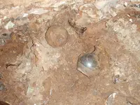 p 051.webp