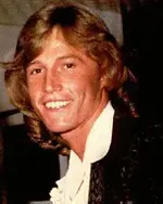 andy gibb.webp