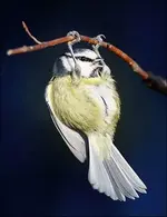 image004.webp image004.webp