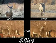 ElliotCollage.webp