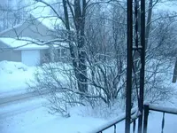Picture 008.webp