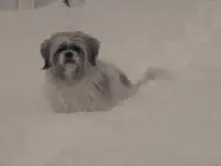 scared Charley.webp