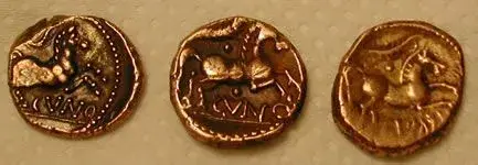 celhoard.webp