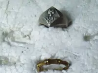 cub ring.webp