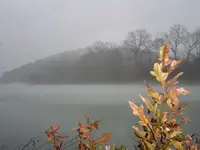 Foggy day 005.webp