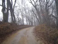 Foggy day 009.webp