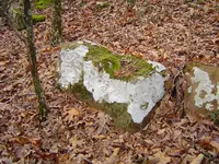 Mnt creek 003.webp