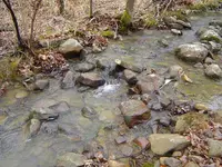 Mnt creek 001.webp