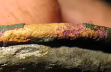 jccloseup.webp
