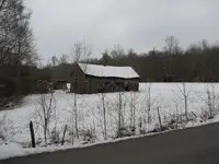 Metal Detecting in KY 028.webp