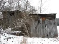 Metal Detecting in KY 033.webp