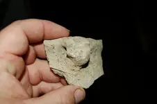 Pottery13.webp