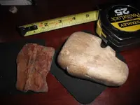 DSCF0077.webp