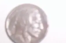 buffalo nickel 12-30-2009 backyard.webp