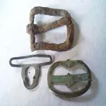 buckles.webp