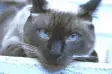 avatar_19540.webp