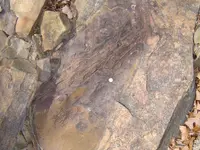 A Concretion Kind Of Day 008.webp