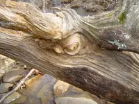 A Concretion Kind Of Day 003.webp