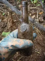 DSCN51350008.webp
