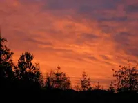 IMG_0691.webp