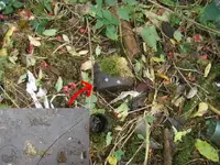 DSCN48310003.webp