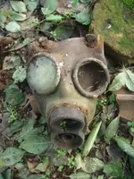 DSCN49380009.webp