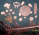 nov 08 073.webp