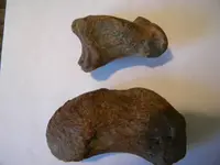 DSCN0123.webp