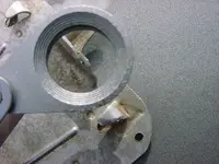 alaska thang cut tab.webp