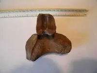 DSCN0124.webp