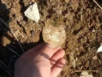 DSCN29140015.webp