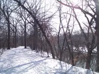 DSC00088.webp