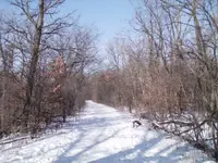 DSC00090.webp