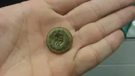 CW button.webp